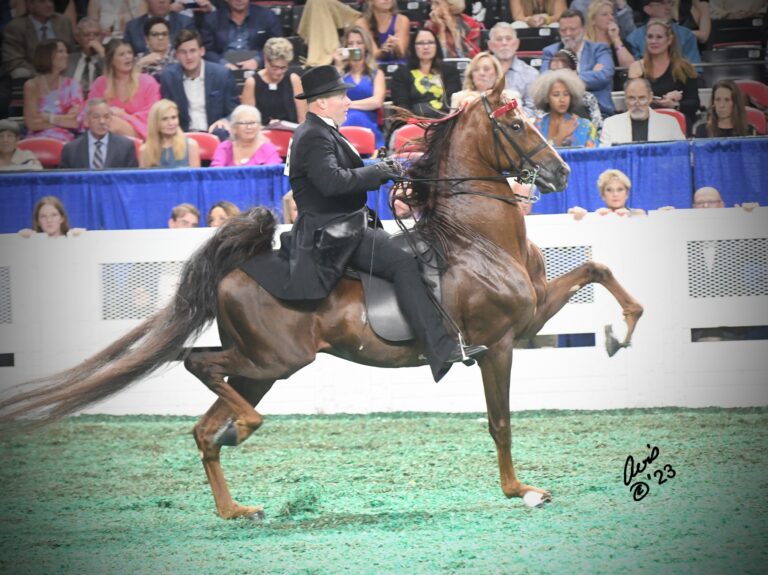 The Trotting Breeds – Equine Sports Council