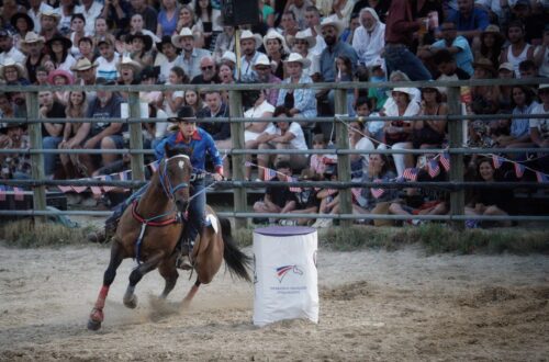Action-packed rodeo scene with an equestrian rider in front of an engaged crowd.