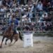 Action-packed rodeo scene with an equestrian rider in front of an engaged crowd.
