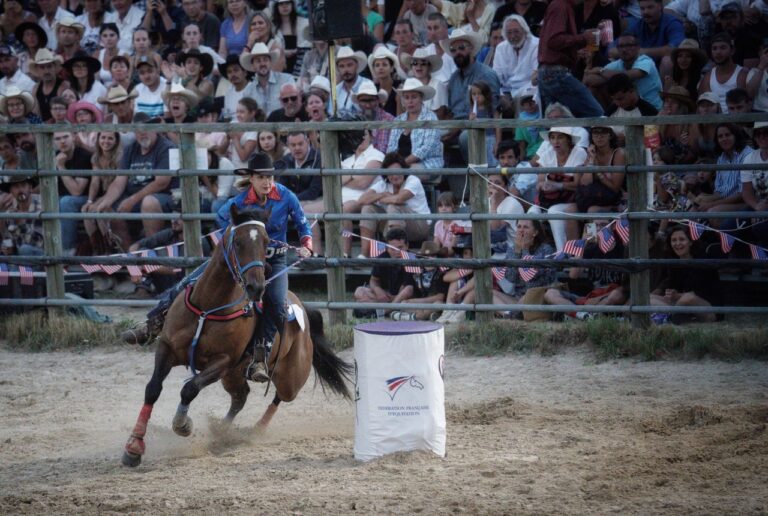 Action-packed rodeo scene with an equestrian rider in front of an engaged crowd.