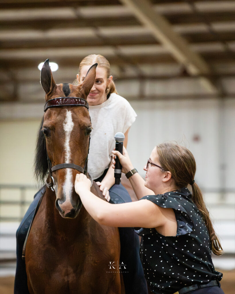 Horse and rider during an arena interview